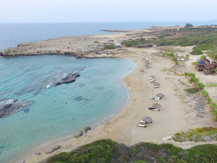 Balci Plaza Hotel And Balci Plaza Guest Bungalows Karpaz Peninsula Selenias Exteriör bild