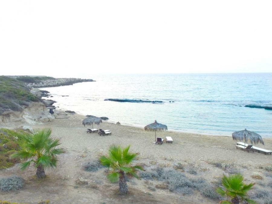Balci Plaza Hotel And Balci Plaza Guest Bungalows Karpaz Peninsula Selenias Exteriör bild